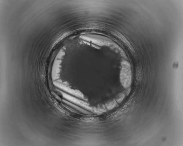 X0000098010826200804181132