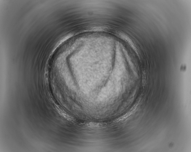 X0000098010827200804181133