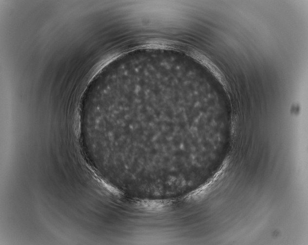 X0000098010829200804181133