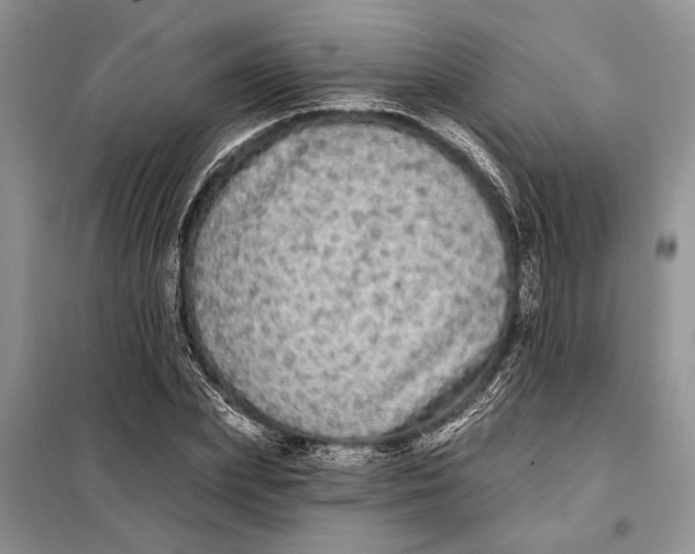 X0000098010831200804181133