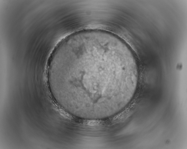 X0000098010832200804181133