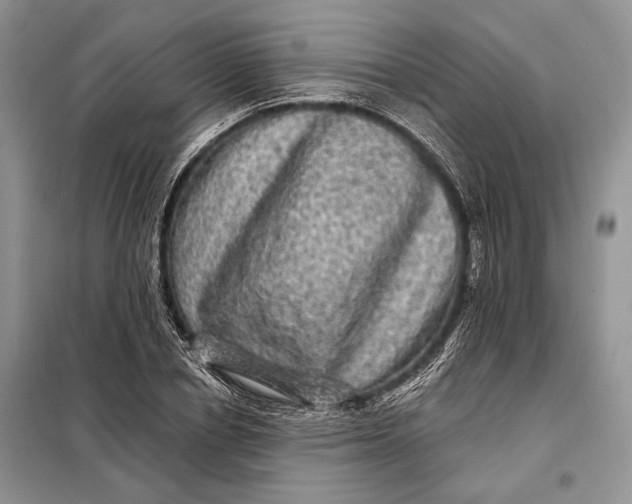 X0000098010834200804181133