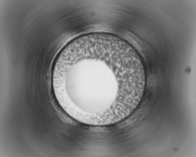 X0000098010836200804181133