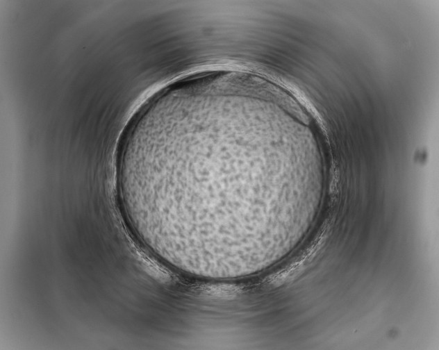 X0000098010837200804181133