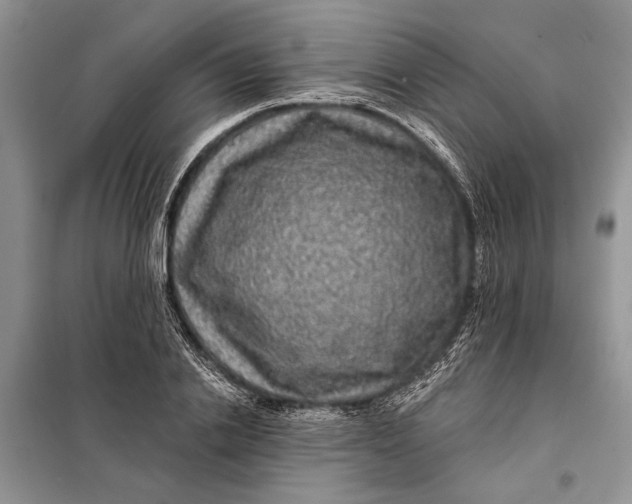 X0000098010838200804181133