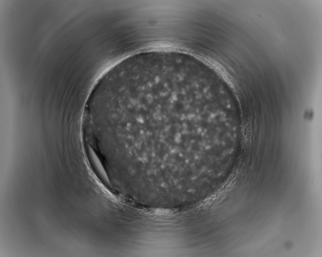 X0000098010839200804181133