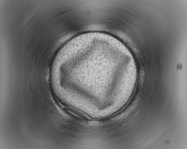 X0000098010841200804181133