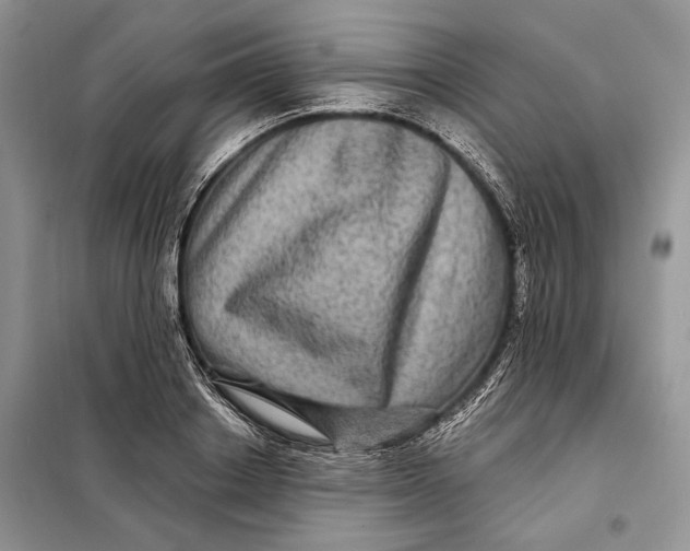 X0000098010842200804181133