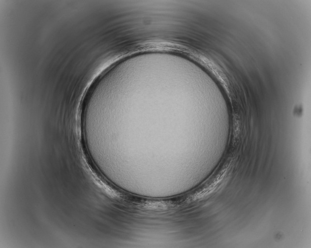 X0000098010843200804181133