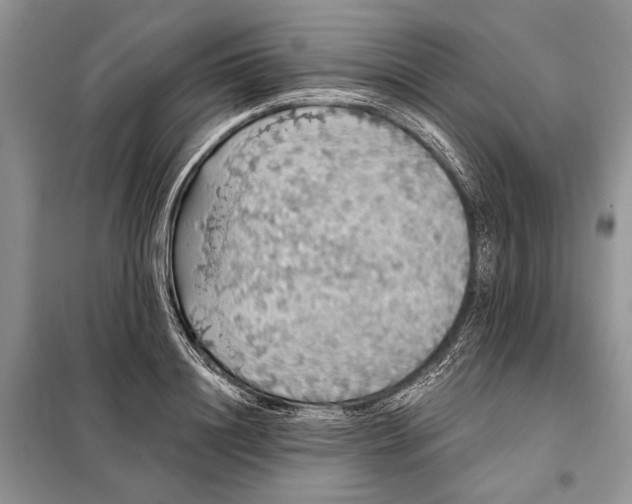 X0000098010844200804181133