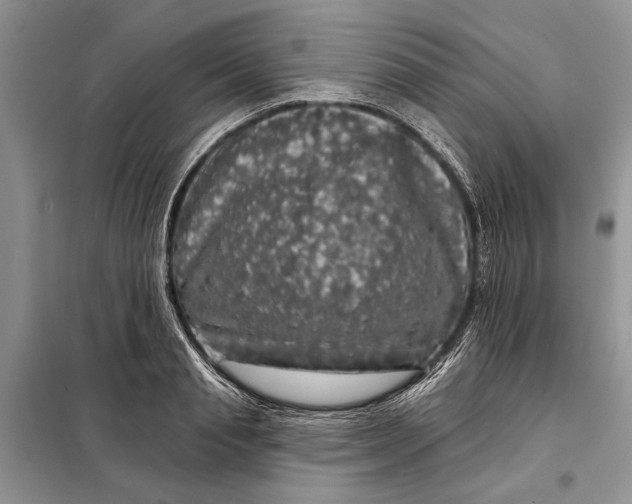 X0000098010845200804181133