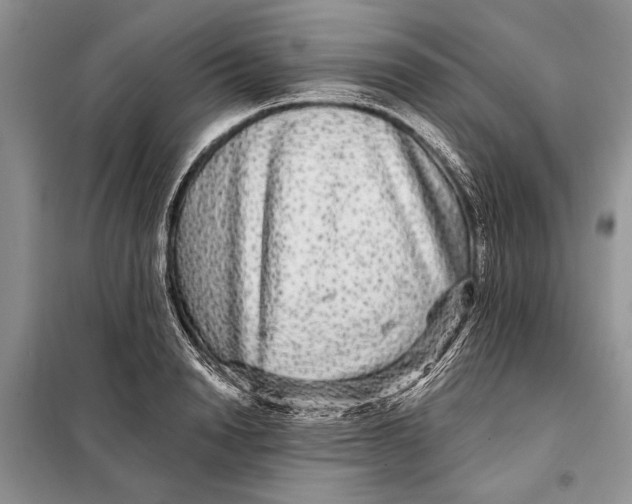 X0000098010846200804181133