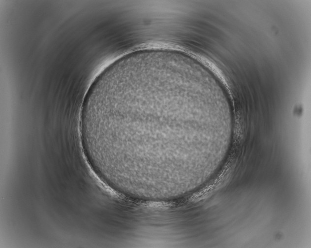 X0000098010847200804181133