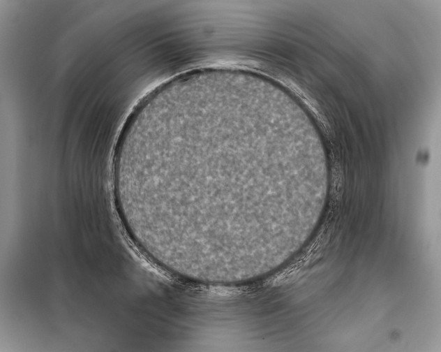 X0000098010848200804181133