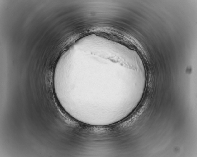 X0000098010849200804181133