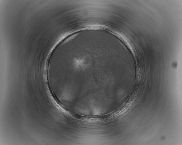 X0000098010851200804181133