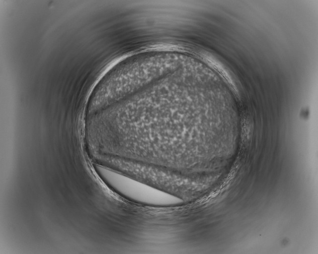 X0000098010852200804181133