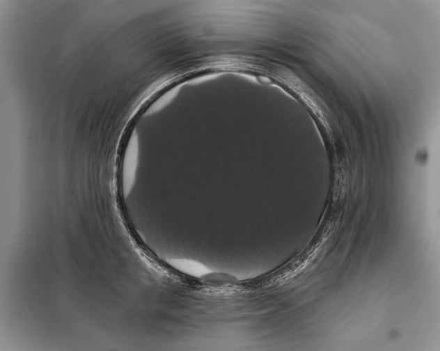 X0000098010853200804181133