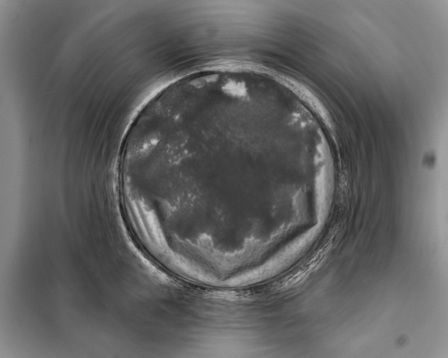 X0000098010855200804181133