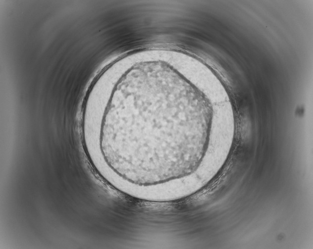 X0000098010856200804181133