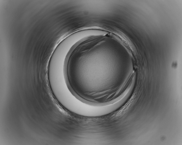 X0000098010858200804181133