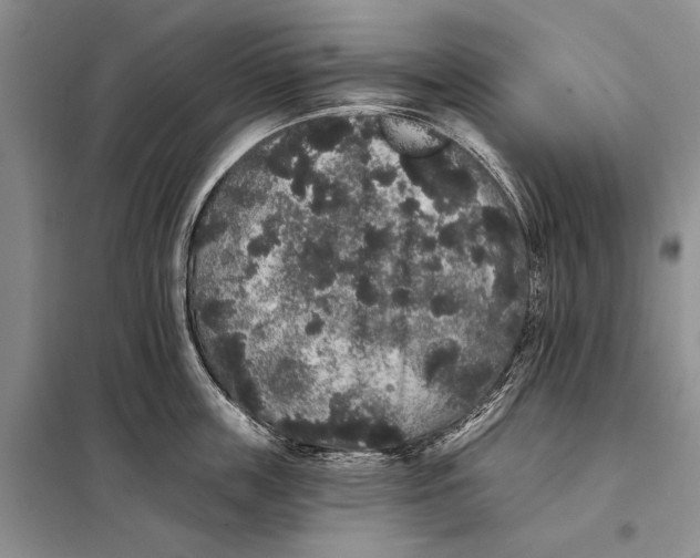 X0000098010859200804181133