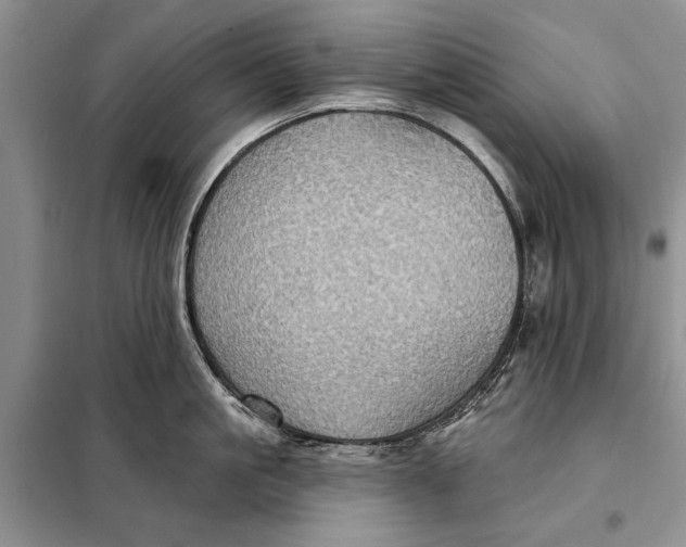 X0000098010861200804181133