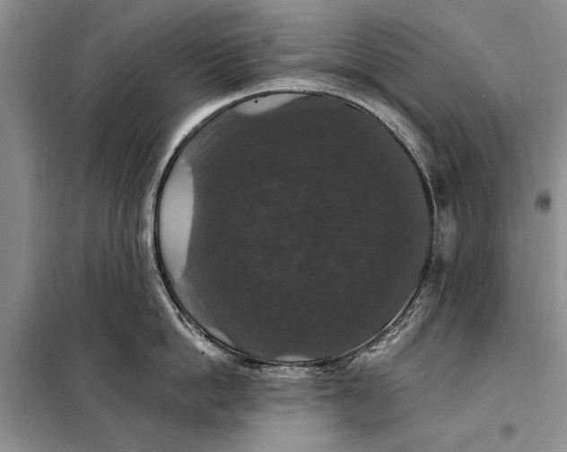 X0000098010862200804181133