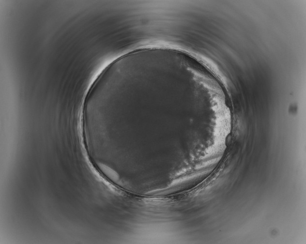 X0000098010863200804181133