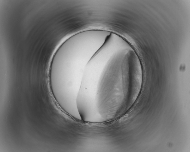 X0000098010864200804181133