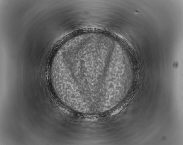 X0000098010870200804181132