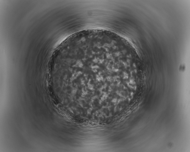 X0000098010871200804181132