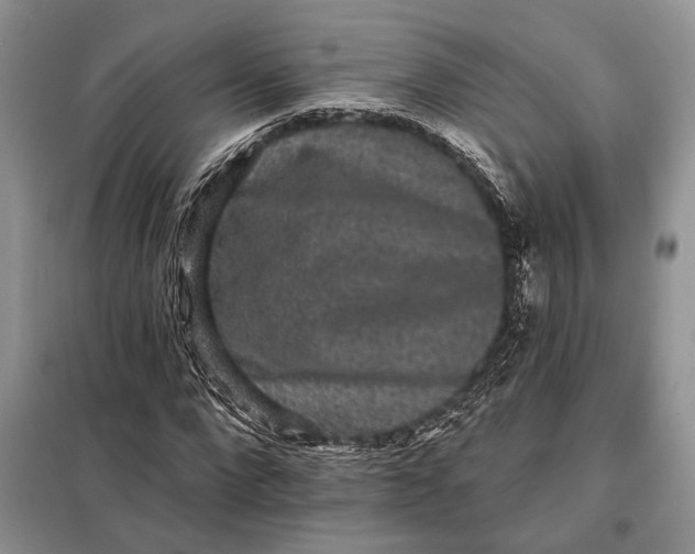 X0000098010872200804181132