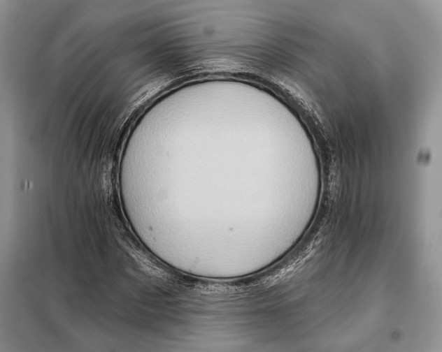 X0000098010873200804181132