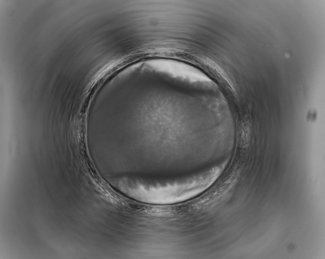 X0000098010874200804181132