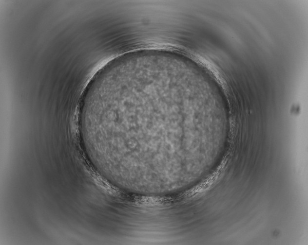 X0000098010875200804181132