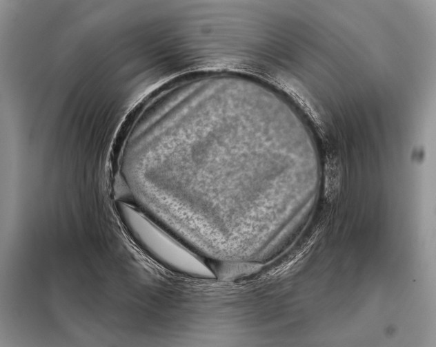 X0000098010876200804181132