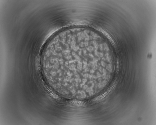 X0000098010878200804181132