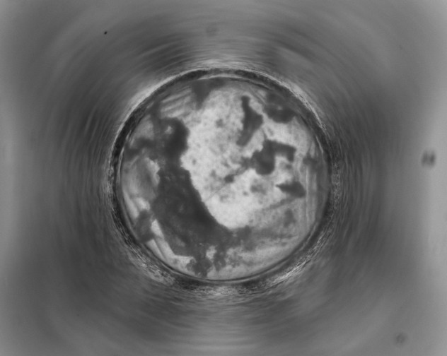 X0000098010879200804181132