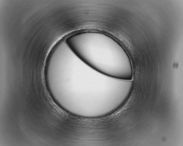 X0000098010880200804181132