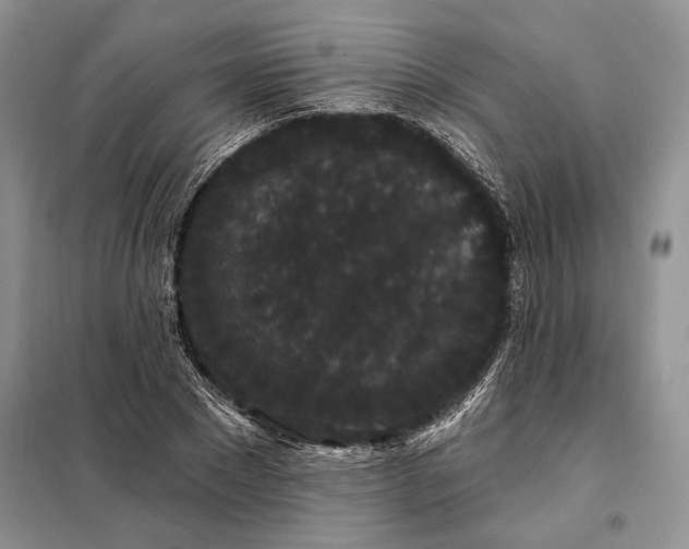 X0000098010881200804181132