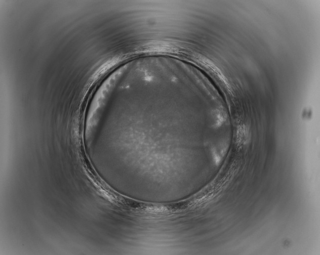 X0000098010882200804181132