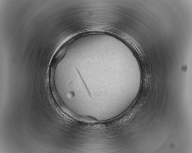 X0000098010884200804181132