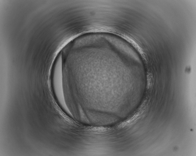 X0000098010885200804181132