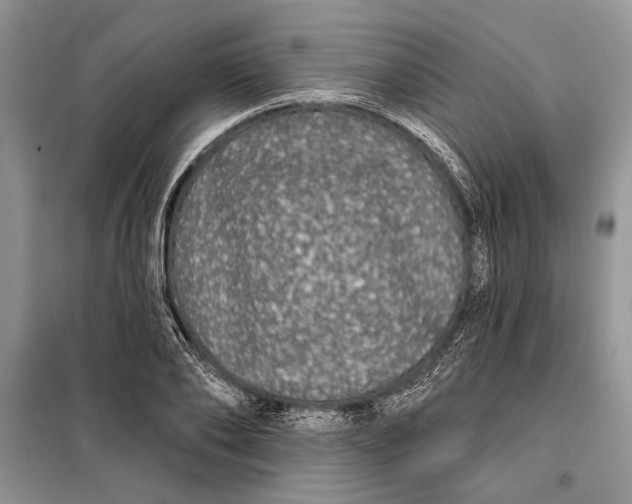 X0000098010886200804181132