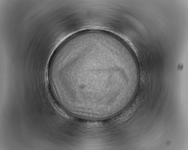 X0000098010887200804181132