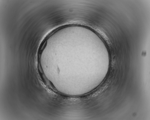 X0000098010888200804181132