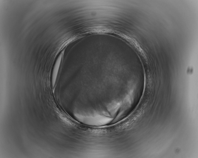 X0000098010889200804181132