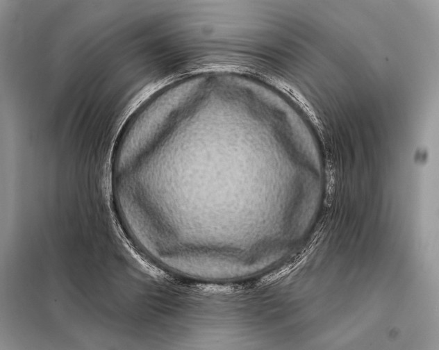 X0000098010890200804181132