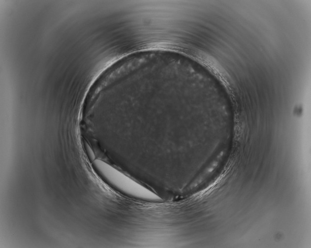 X0000098010892200804181132